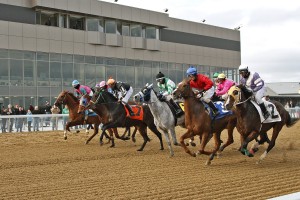 Hollywood Mahoning Valley Thoroughbred Racing with Community R.5HPT Loudspeakers - Courtesy Conrad Photo